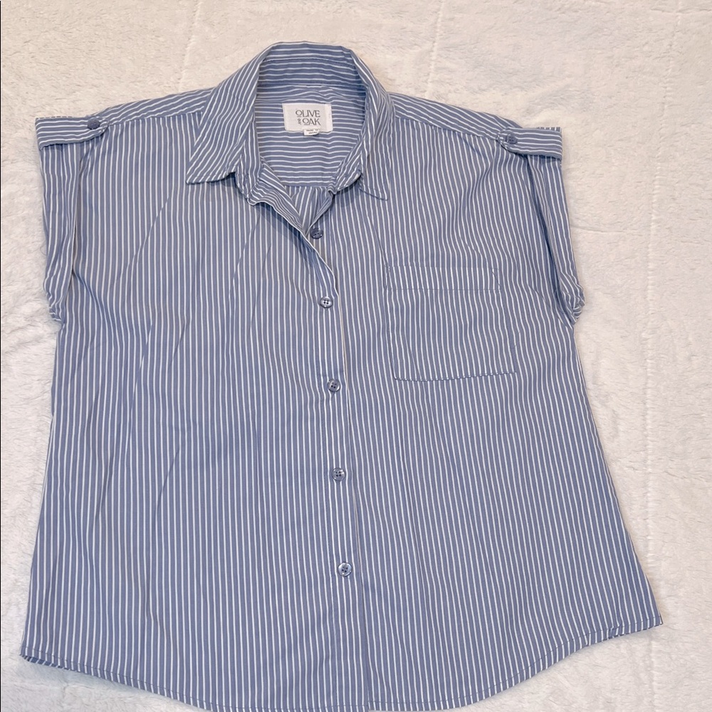 Olive and Oak Beautiful Blue and White Striped Button Down Shirt
